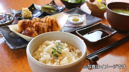 サービスランチ　とんかつ１２０ｇとコロかつ４個